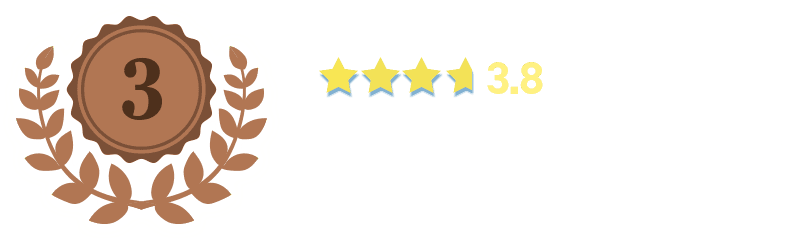 3位：星3.8　レグザキャンバス